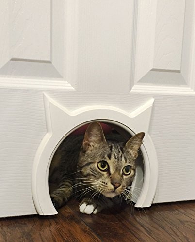 El Gatito Pasa Puerta De Interiores Para Gato Oculta Caja De