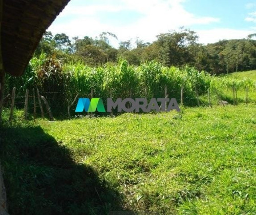 Imagem 10 de 15 de Fazenda - Zona Rural - Ref: 4818 - V-mta4818