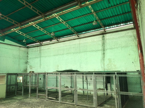 Imagen 12 de 19 de En Venta Magnifico Galpon En Sorocaima 1, Turmero, 598.16 Mt2