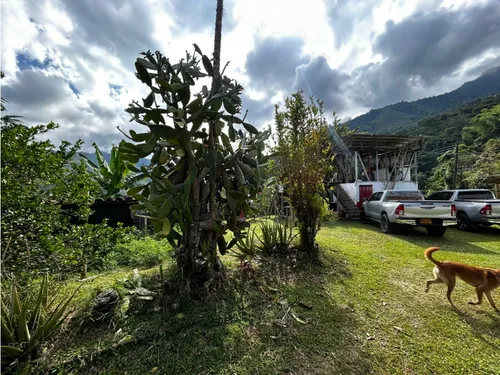 Se Vende Finca En Barragán