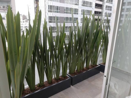 Imagen 4 de 7 de Fertilizante Triple 17 De 1 Kg