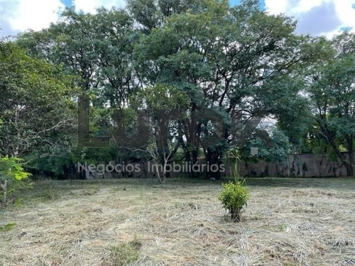 Imagem 7 de 10 de Terreno À Venda Em Vale Verde - Te006031