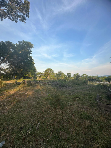 Terreno Con 369.33 Metros Cuadrados