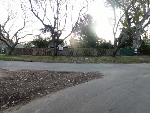 Imagen 4 de 6 de Casa Quinta A Refaccionar