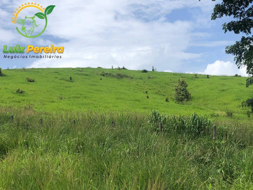 Imagem 15 de 15 de Fazenda À Venda Em Pacajá - Pa 692,12 Hectares - 2094