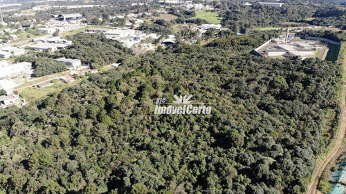 Imagem 16 de 21 de Área À Venda, 6500 M² Por R$ 3.575.000,00 - Cidade Industrial - Curitiba/pr - Ar0003