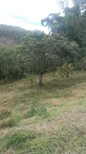 Vende-se Terreno Para Construir De Sítio Ou Chácara