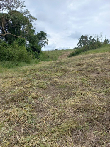 Imagem 6 de 15 de 02-terreno Localizado Em Cotia Com Preço