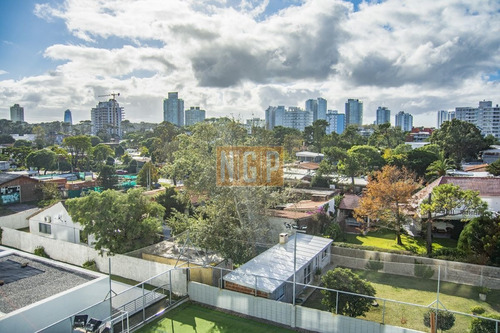 Imagen 14 de 23 de Alexander Boulevard, Apartamento De 3 Dormitorios En Venta
