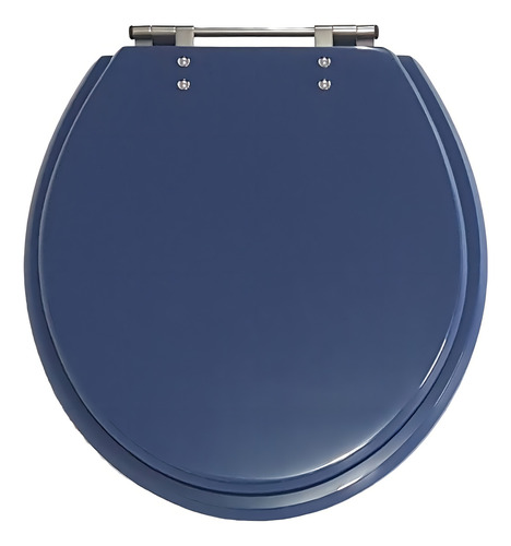 Tampa De Privada De Poliéster Oval Azul Fer De Aço Inox