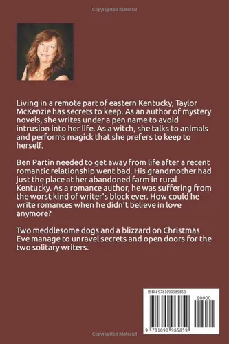 comprar Libro: Una Navidad Mágica (las Fiestas Mágicas)