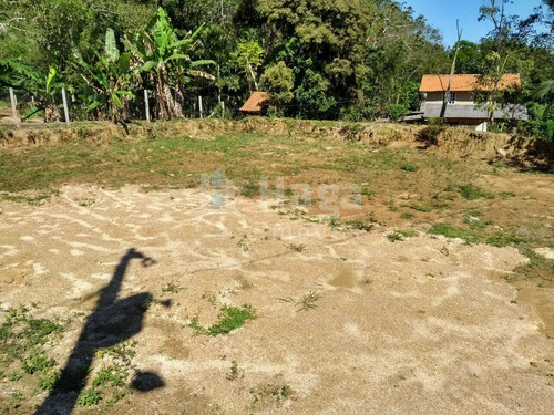 Imagem 21 de 22 de Sítio À Venda Em Canelinha/sc - 1290