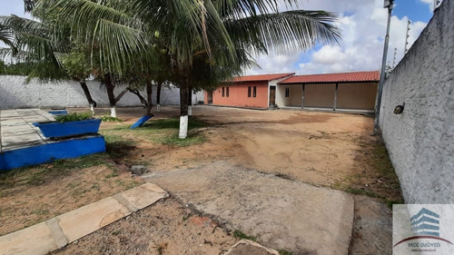Imagem 14 de 21 de Granja A Venda Em Pium