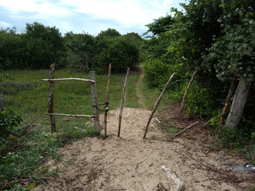 Venta Terreno 100 Hectareas Playa Tamiahua Veracruz