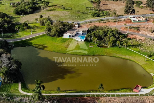 Imagem 7 de 10 de Terrenos - Ref: V5803