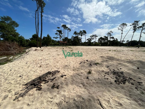 Imagen 6 de 9 de Venta De Terrenos En Salinas Sur