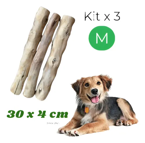 Kit 3 Palos De Café Perro M