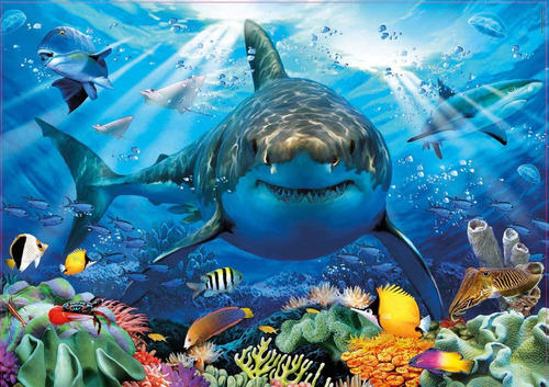 Imagen 3 de 8 de Puzzle Educa Rompecabeza Gran Tiburon Blanco 500 Piezas Ax ®