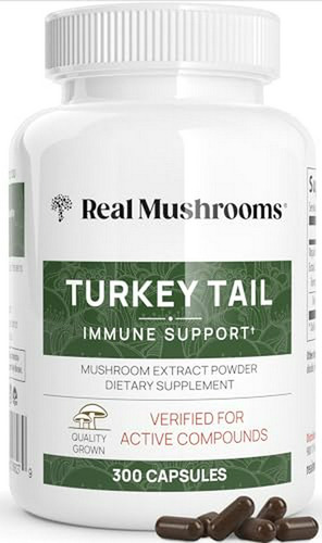 Turkey Tail Mushroom Supplements For Immune Support, Wellnes