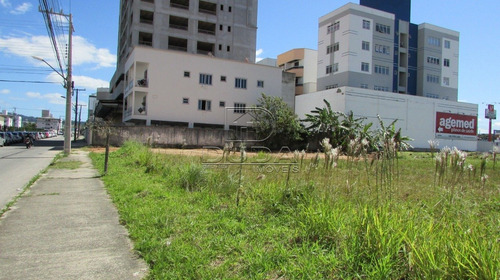 Imagem 4 de 10 de Terreno - Passa Vinte - Ref: 27226 - V-27225
