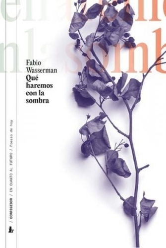 Qué Haremos Con La Sombra, De Wasserman Fabio. Serie N/a, Vol. Volumen Unico. Editorial Corregidor, Tapa Blanda, Edición 1 En Español