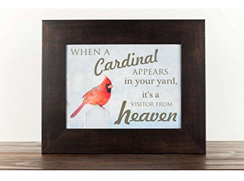 Cuando Un Cardinal Aparece En Tu Yard Visitante De Heaven Si