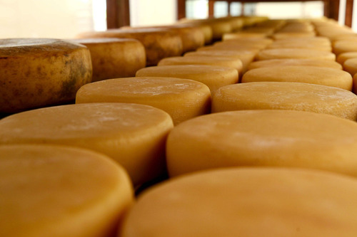 Queijo Minas Canastra Meia Cura 1,1 Kg - Artesanal
