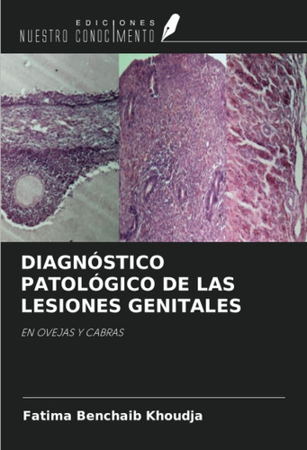 Libro: Diagnóstico Patológico De Las Lesiones Genitales: En 