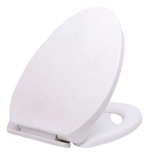 Asiento Wc Sanitario Moderno Cierre Lento Elongada Taumm