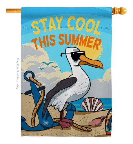 Colección De Adornos Stay Cool This Summer House Bandera Div