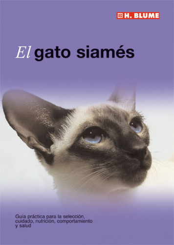 El Gato Siames