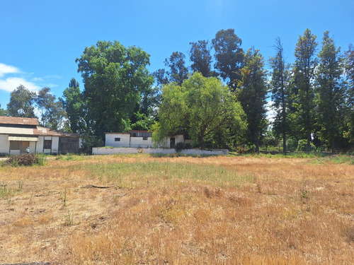 Terreno Con Gran Galpón, Bodegas, Oficinas Y Casa