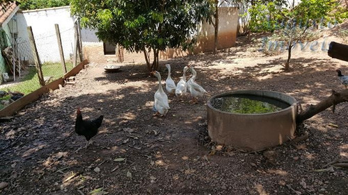 Imagem 7 de 29 de Chácaras À Venda Em Jarinú/sp - Compre O Seu Chácaras Aqui! - 1339806