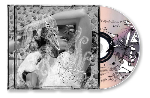 Björk  Vespertine (cd) - Nuevo