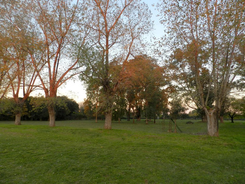 Imagen 2 de 12 de Terreno - Escobar