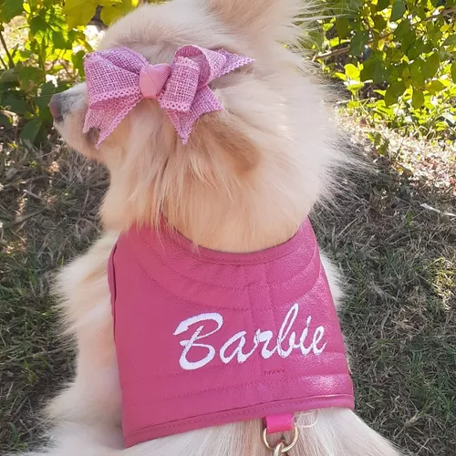 Roupa Roupinha Pet Para Cachorro Vestido Barbie Com Guia