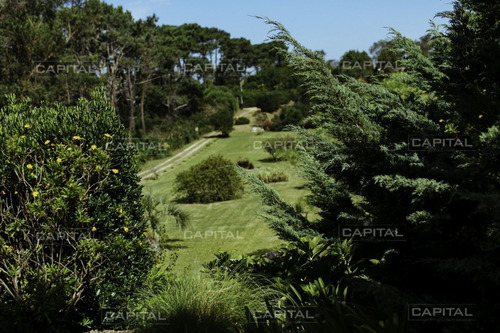 Imagen 19 de 30 de Espectacular Chacra Con Casa Punta Del Este Cinco Dormitorios - Punta Del Este Rincón Del Indio