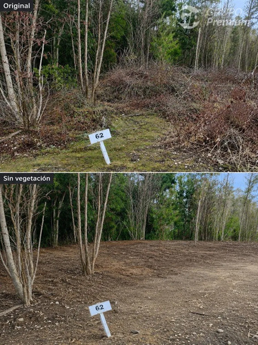 Parcela En Venta 5000m2 Con Apr Yungay