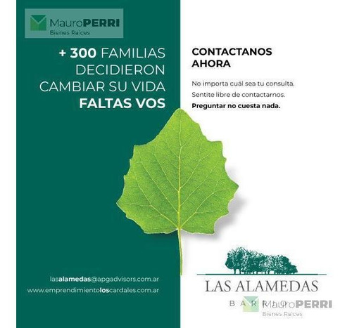 Imagen 17 de 18 de Terreno - Abasto
