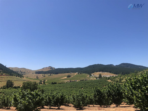 Precioso Campo En La Región Del Maule, Comuna De Pencahue.