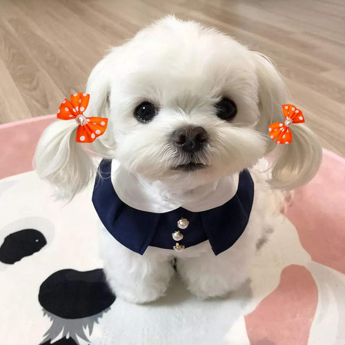10 Lazos Para El Pelo De Perros Pequenos De 2 Puntos De Pet