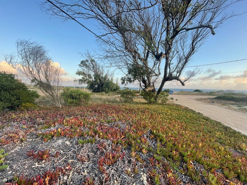 Excelente Terreno Frente Al Mar - Balneario Argentino