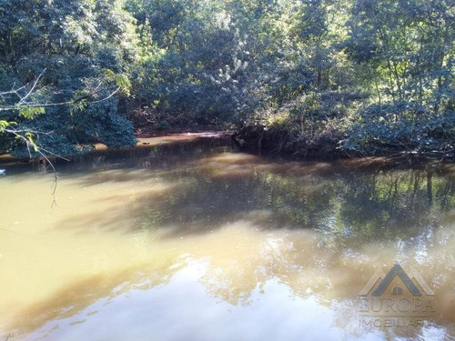 Chácara Com 1 Dormitório À Venda, 8000 M² Por R$ 480.000,00 - Gleba Ribeirão Cafezal - Londrina/pr - Ch0031