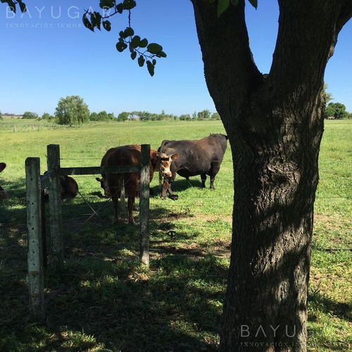 Imagen 27 de 30 de Venta - Campo En Cardales - Bayugar Negocios Inmobiliarios