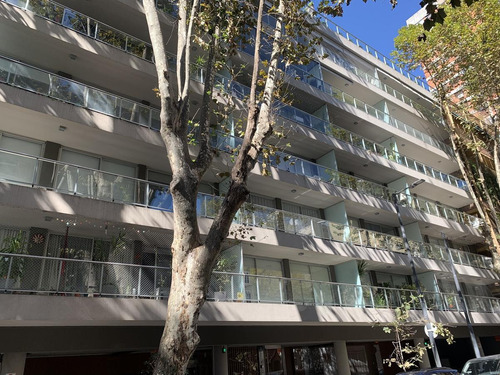 Imagen 1 de 19 de Departamento - Belgrano