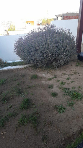 Casa A Estrenar En Caleta Olivia