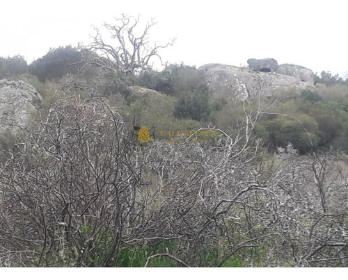 Campo 10 Has En Garzon - Consulte!!!!!!!- Ref: 2109