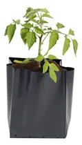 Comprar Macetas Nylon Capacidad 50 Lts. - Vivero Jardín Agro X100