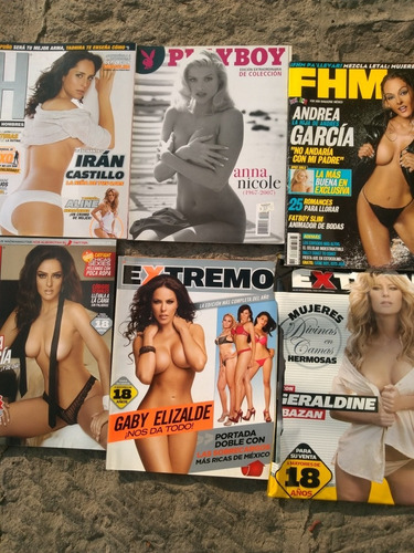 Playboy Lote 10 Revistas De Colección Envío Gratis Playboy (Usado)
