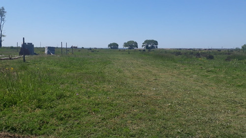 Oportunidad! Super Retasado! - Lote En Paraje Pavon, Pdo.general Lavalle